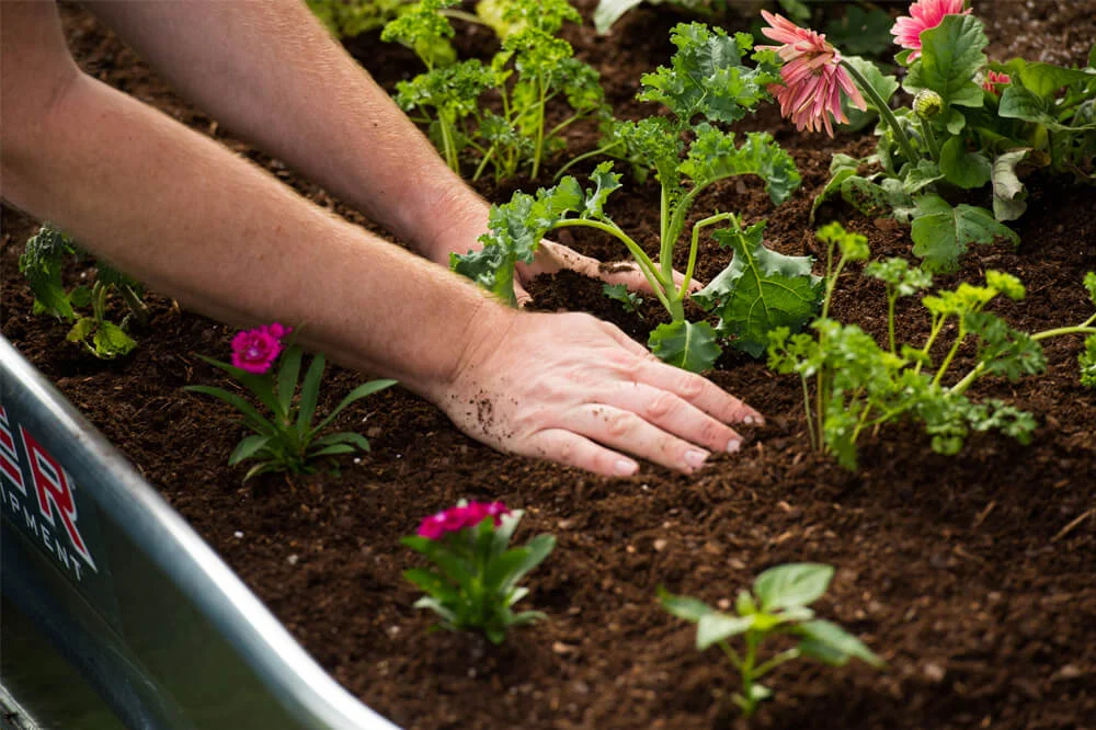 OU170 - Planter (1).jpg