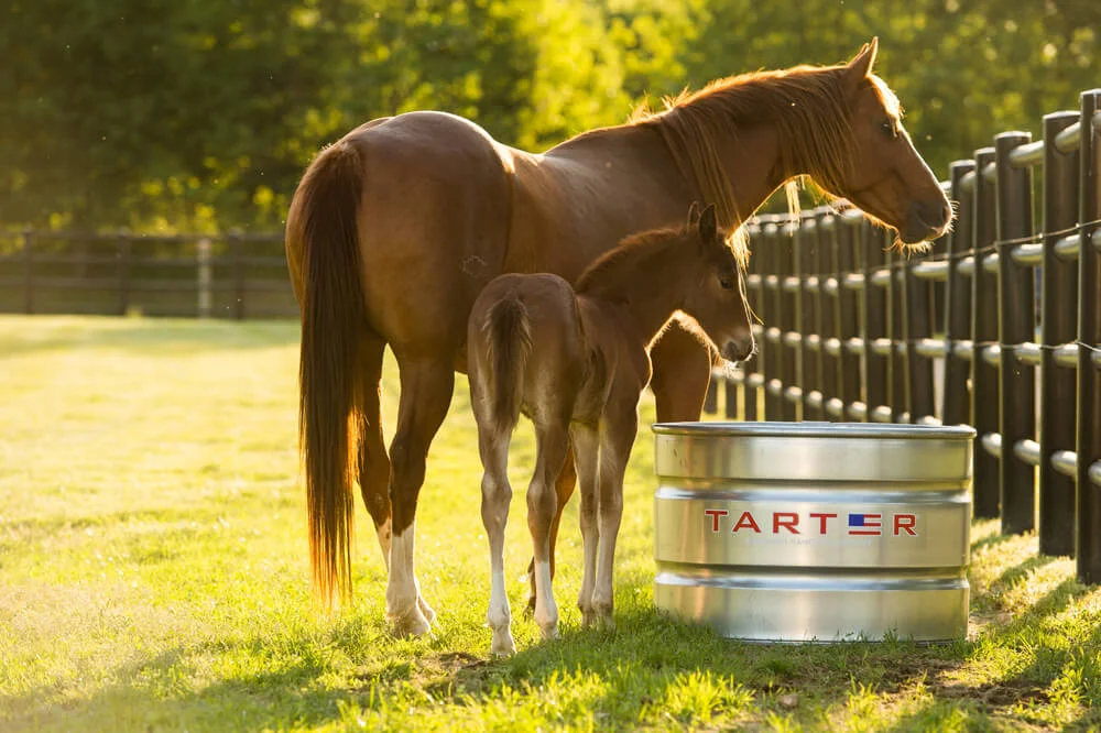 Galvanized Stock Tanks Oval & Round — Tarter Farm and Ranch Equipment