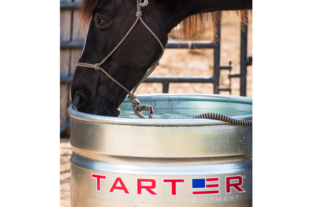 tarter-13.jpg