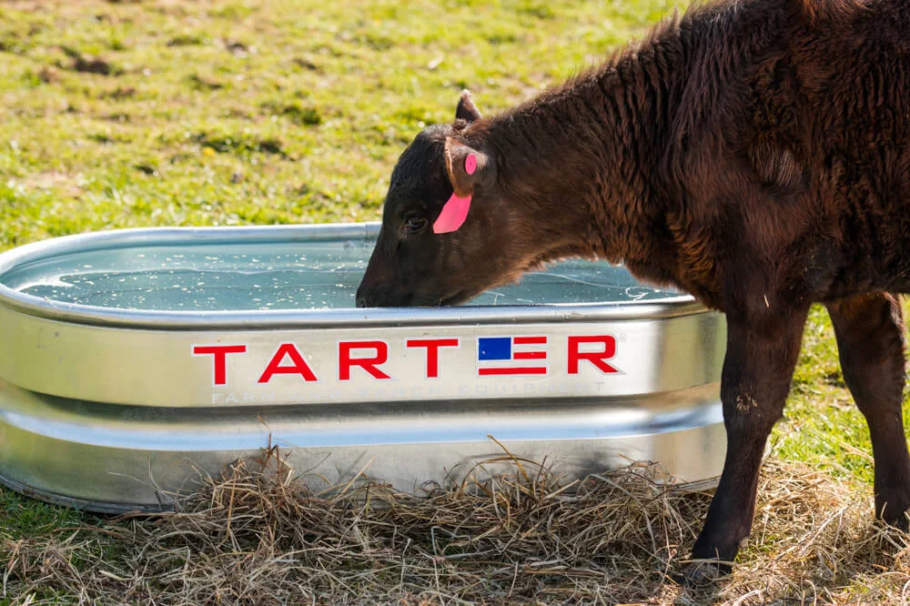 tarter-9.jpg