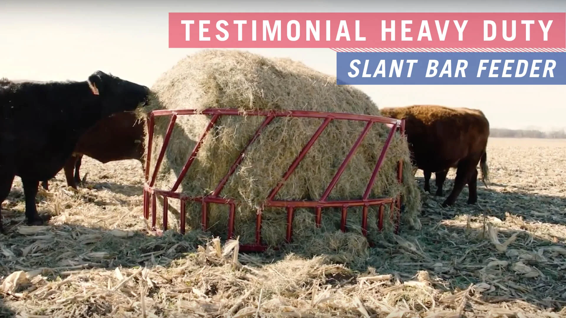 Steelcor Cattle Hay Feeder subheader=2Piece Heavy Duty Slant Bar
