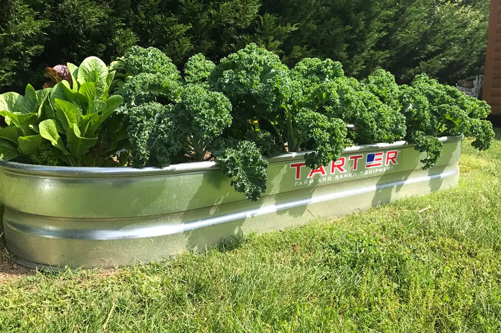 Tarter-RBP-1.jpg