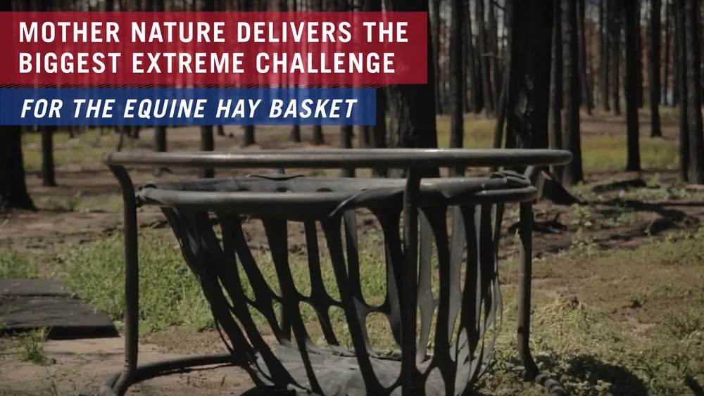 Equine Hay Basket Tarter Farm And Ranch Equipment American