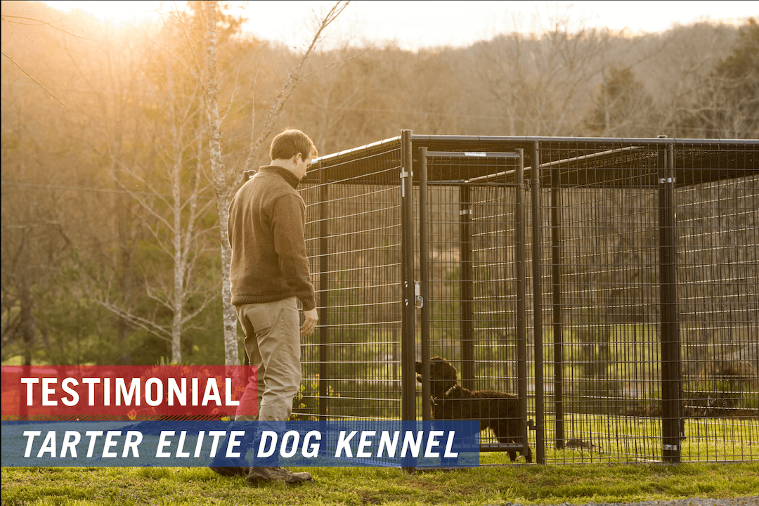 tarter dog panels
