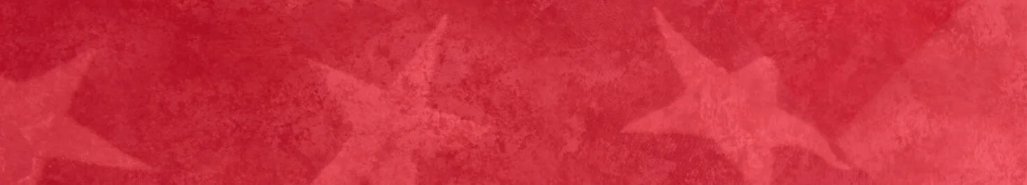 red-banner.jpg