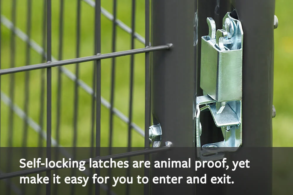 kennel latches