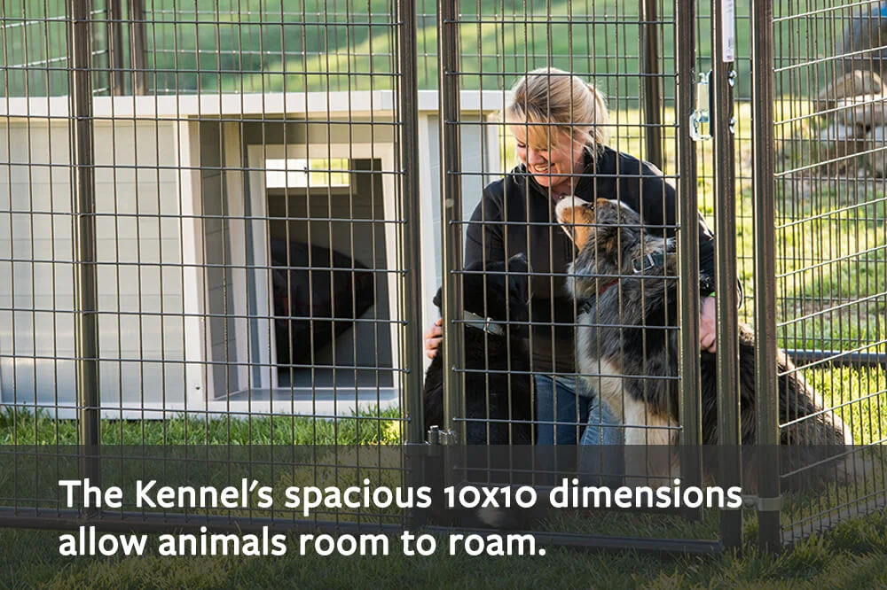 Elite Dog Kennel — Tarter Farm and Ranch Equipment American Made
