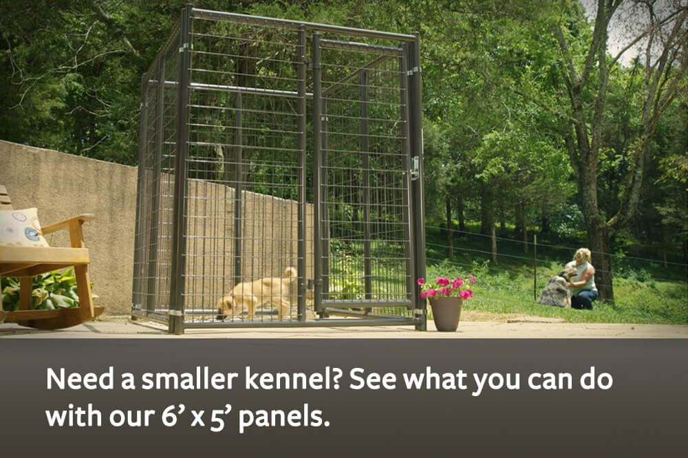 tarter-elite-kennel-small.jpg