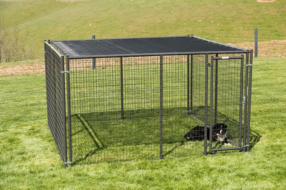 tarter heavy duty dog kennel