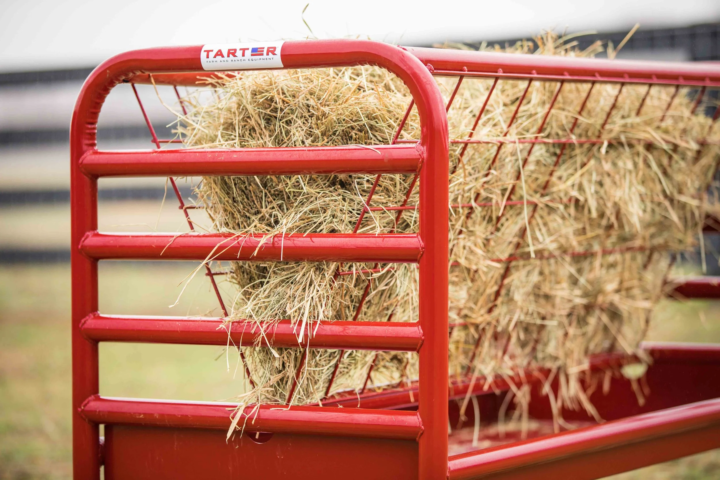 Dura Tough Small Animal Feeder — Tarter Farm and Ranch Equipment