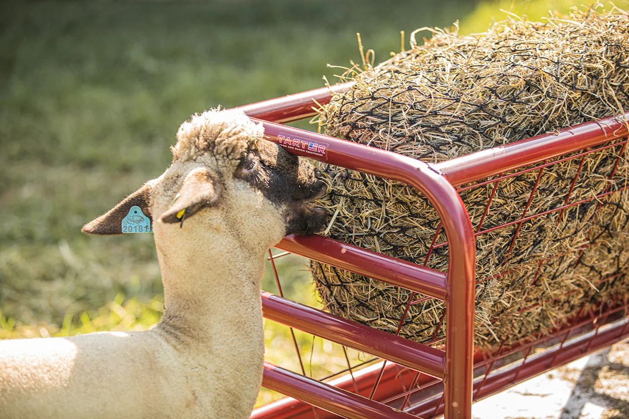 Feeders Products Tarter Farm And Ranch Equipment American