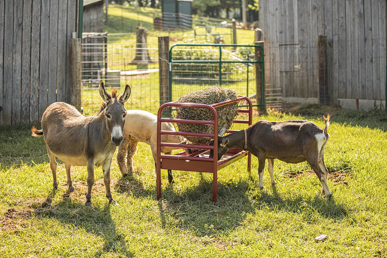 tough 1 fence slow feeder net