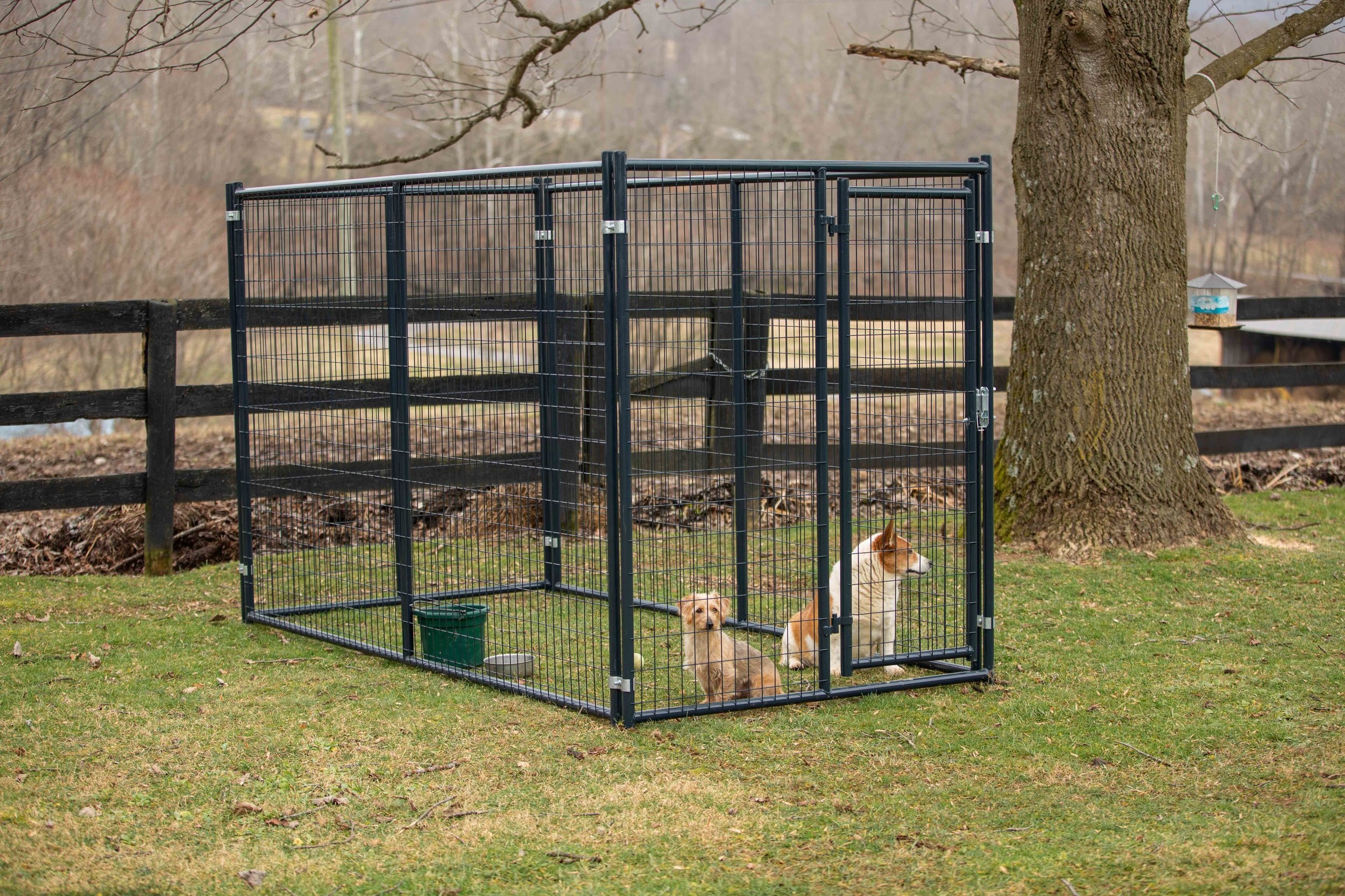 rural king tarter dog kennel