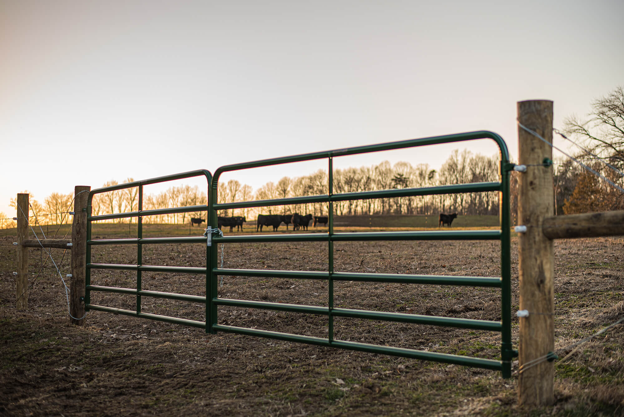 Gate Latch System Kit Heavy Duty Quick Catch Feedlot Livestock Ranch Farm Horse 