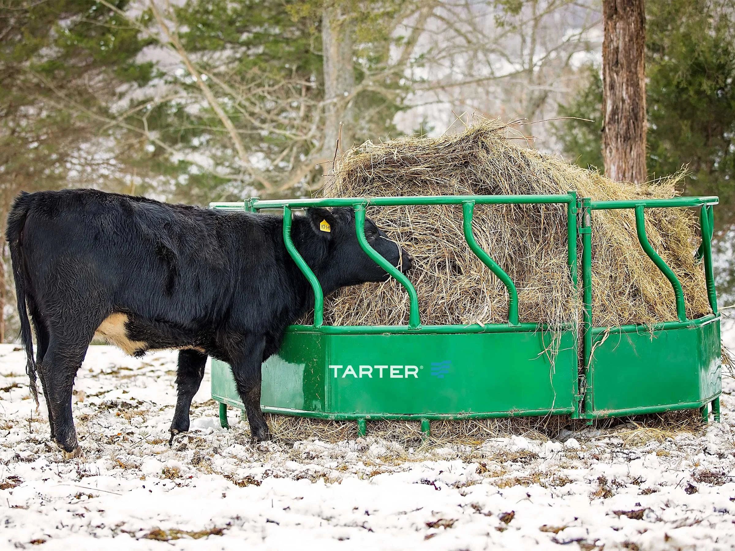 Cattle Flex Feeder subheader=Cattle Flex Feeder Closed Top — Tarter