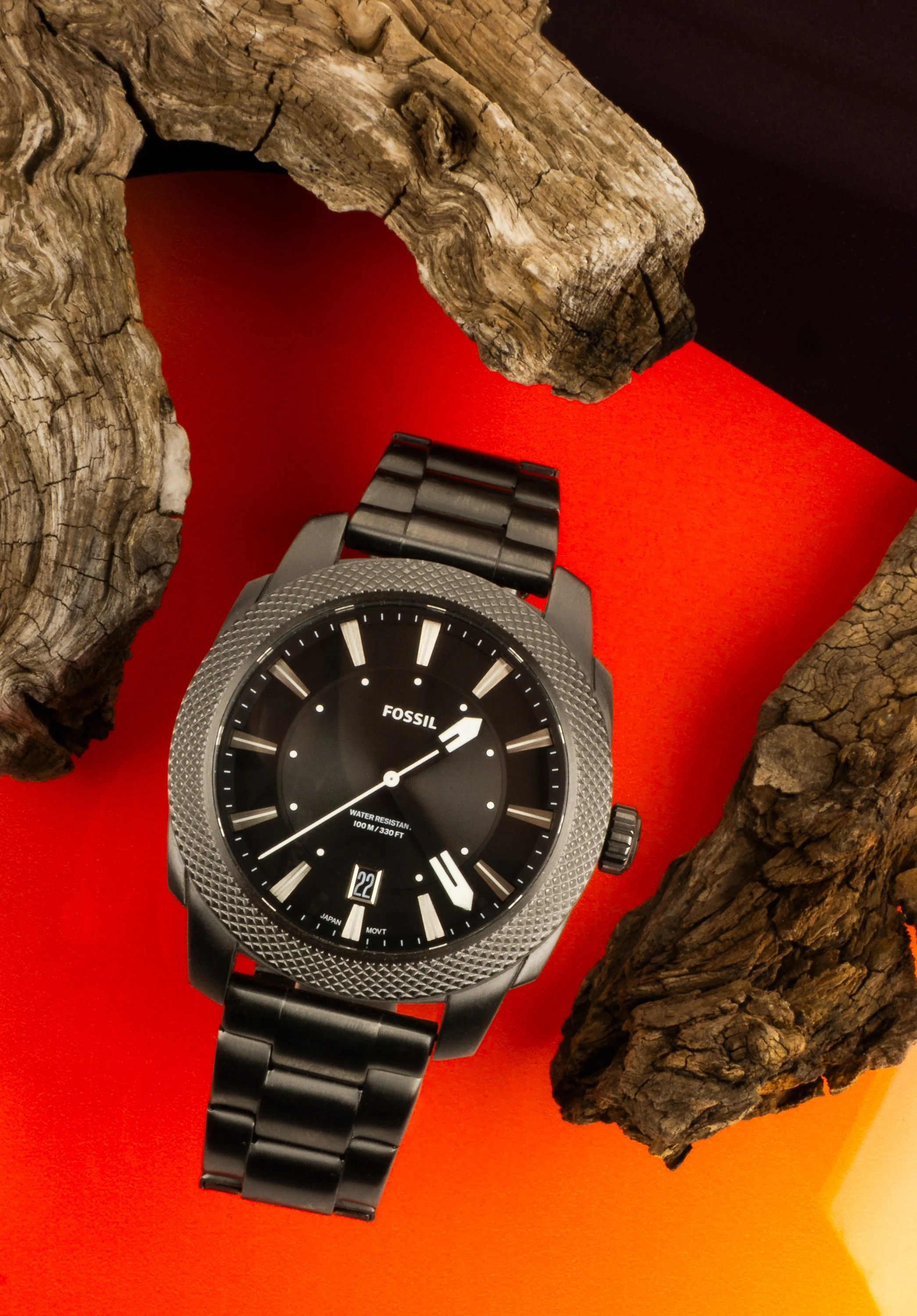 Fossil1.jpg