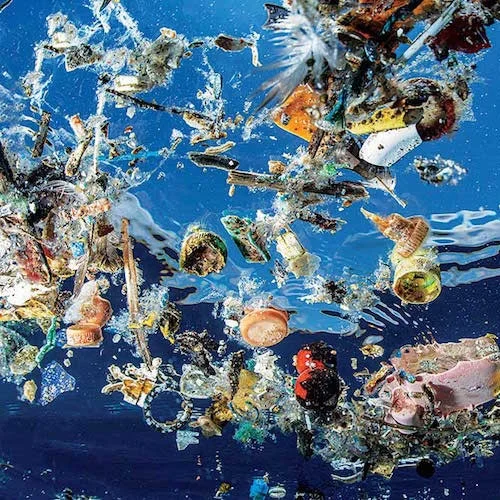 oceanProblemPlastic.jpg