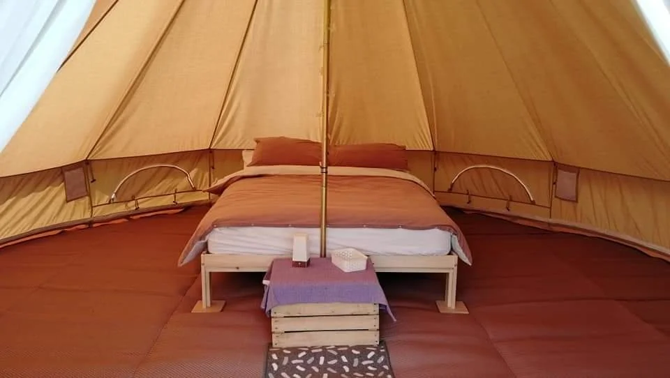 WhatsApp Image 2023-05-19 at 09.37.01.jpeg