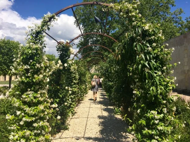 The elegant design at château Marquis d’Alesme insides the sensory gardens