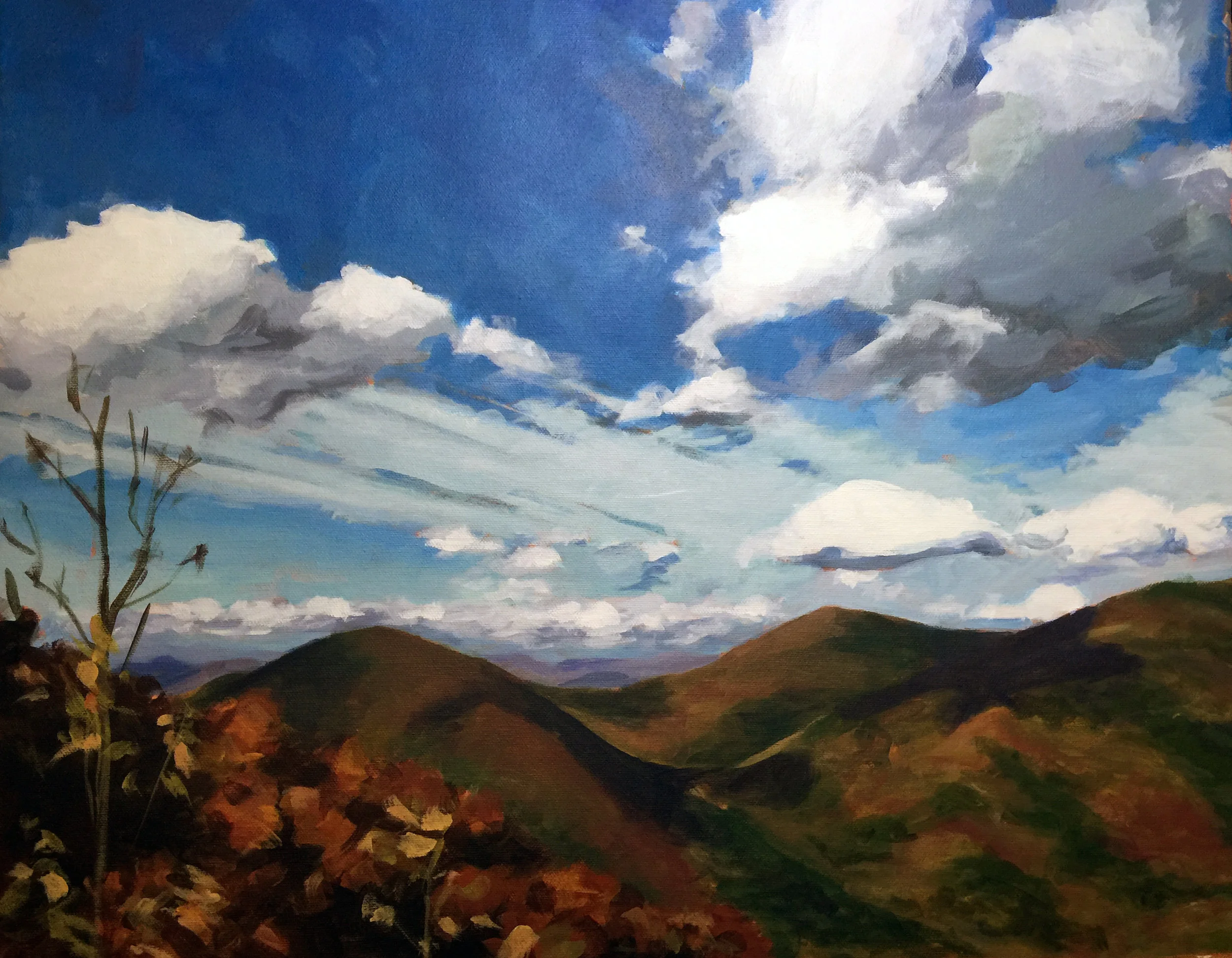 This is a favorite view of my client's. He finds it soothing and inspriational to have on his wall - he may not be able to get out and hike every day, but this painting can bring him there in spirit.