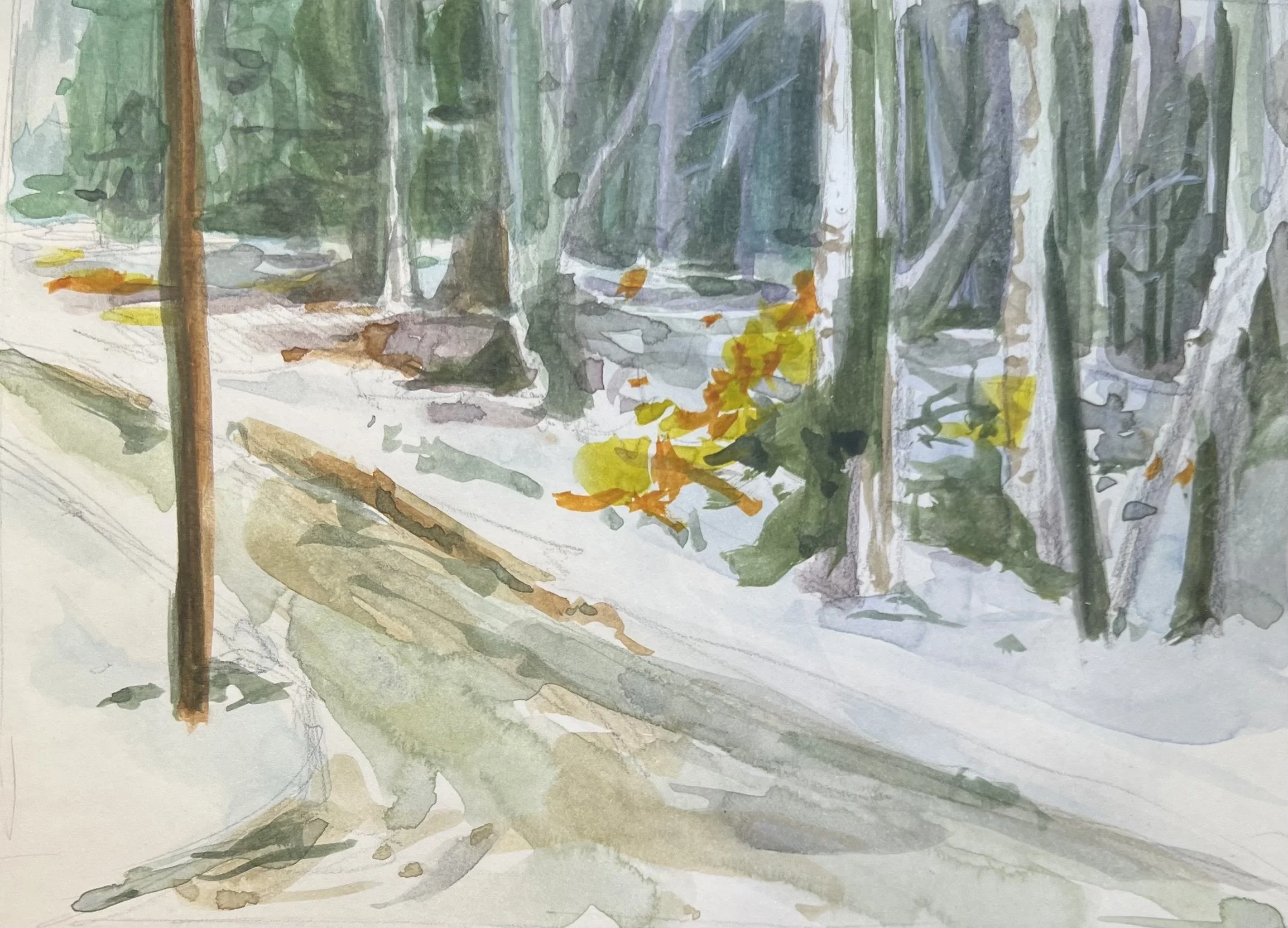 snowy side street.jpg