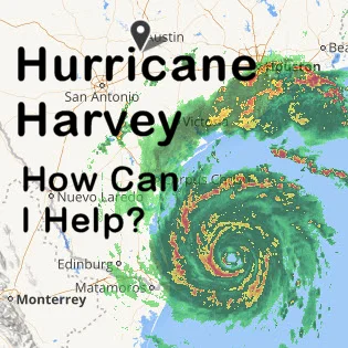 Harvey, Text, 300x300.jpg