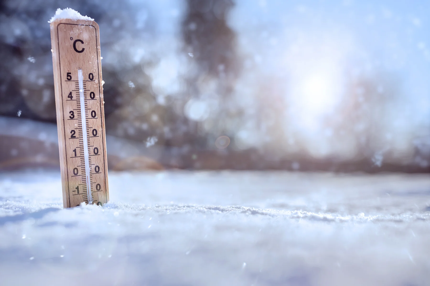 thermometer_sm.jpg