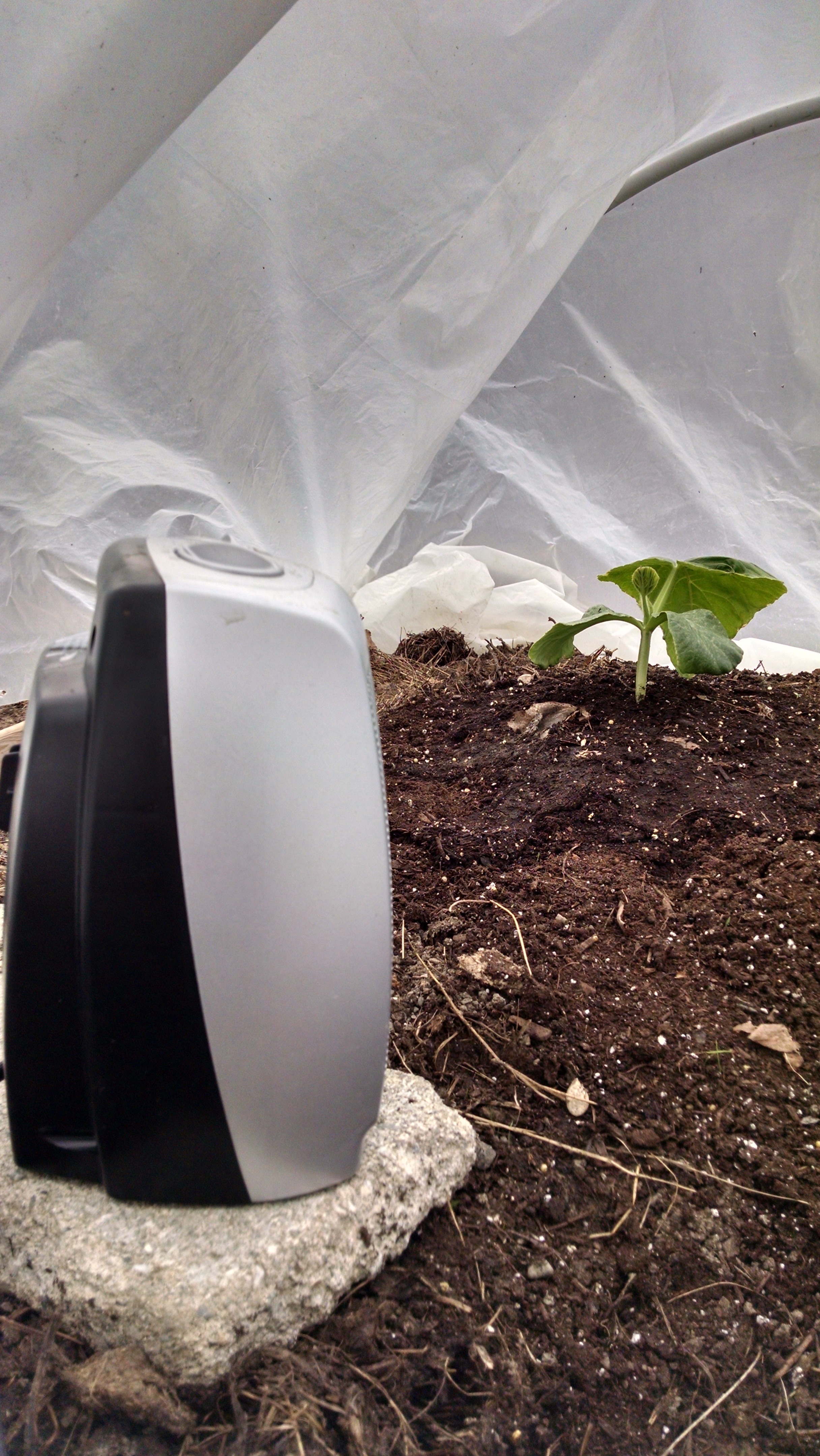 My setup inside the hoop house with a heater