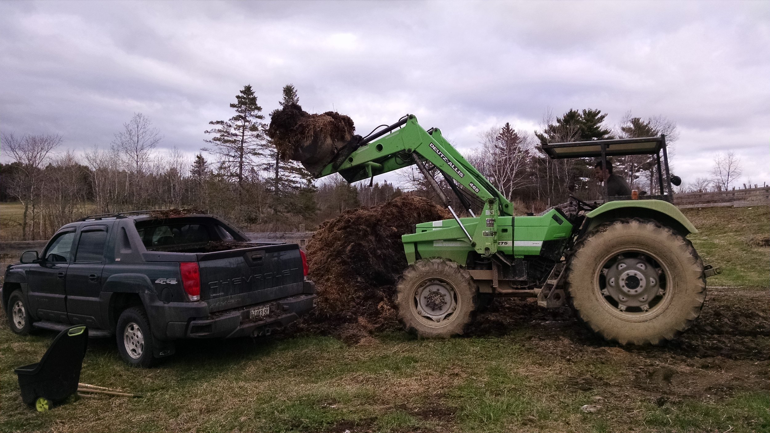 Dale loading cow manure.