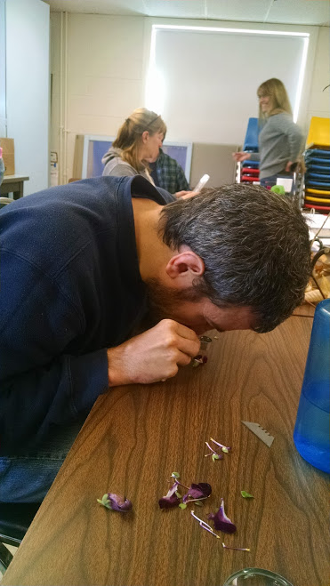 Dissecting flowers in our Master Gardener class.