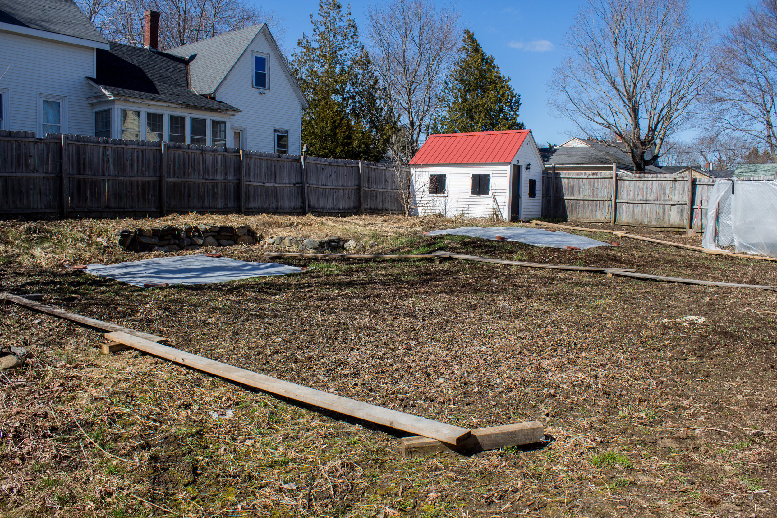 This is my pumpkin patch at home. I just spread sulfur on it to lower the pH (per my soil test’s recommendations). I also have clear plastic placed down to warm up the soil, and compaction boards to prevent me from compacting the soil when I walk through my patch. The winter rye didn’t grow as much as I hoped, so next year I will plant more and plant it earlier in the fall.