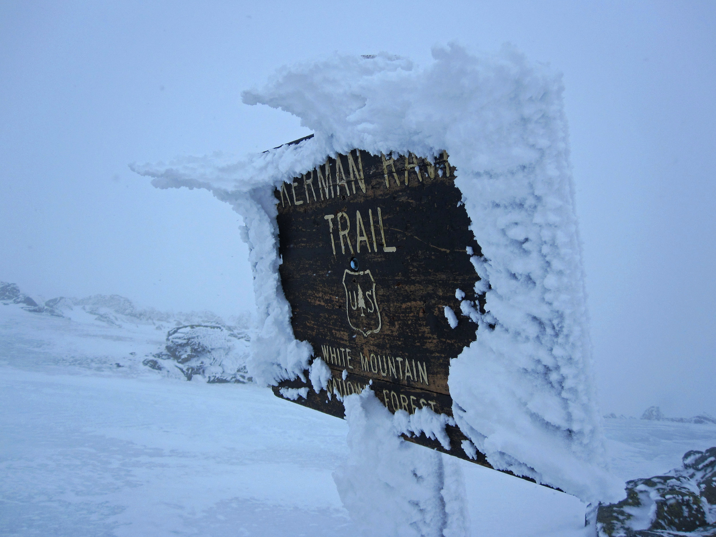 Rime Ice on the Tuckerman Ravine Trail