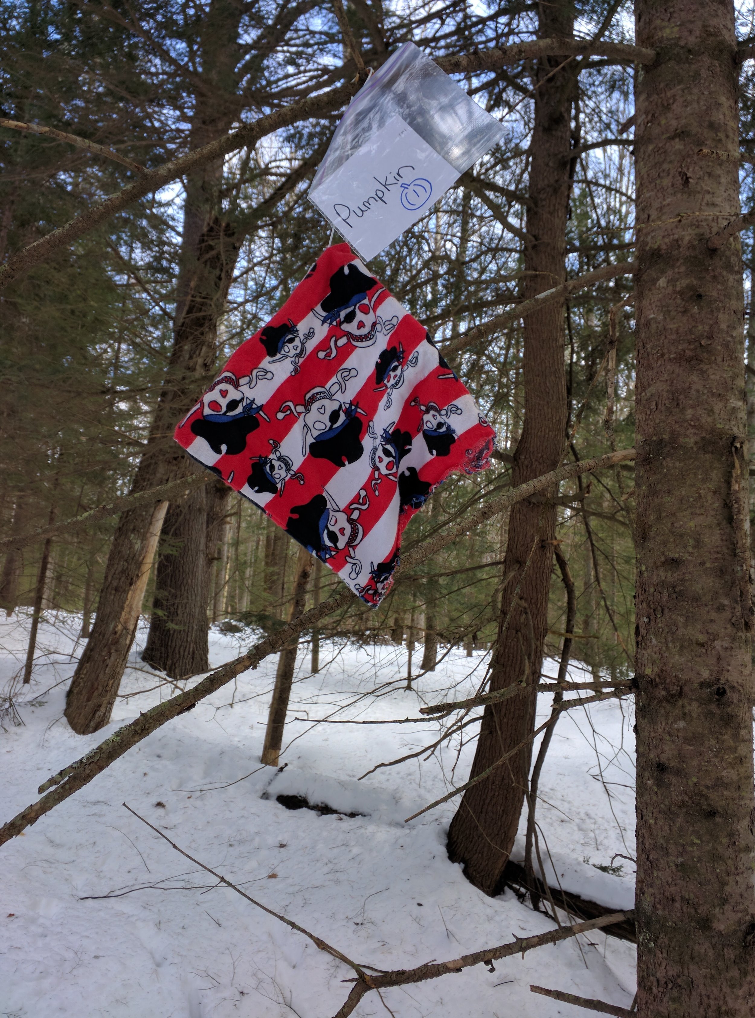 My homemade practice flags.