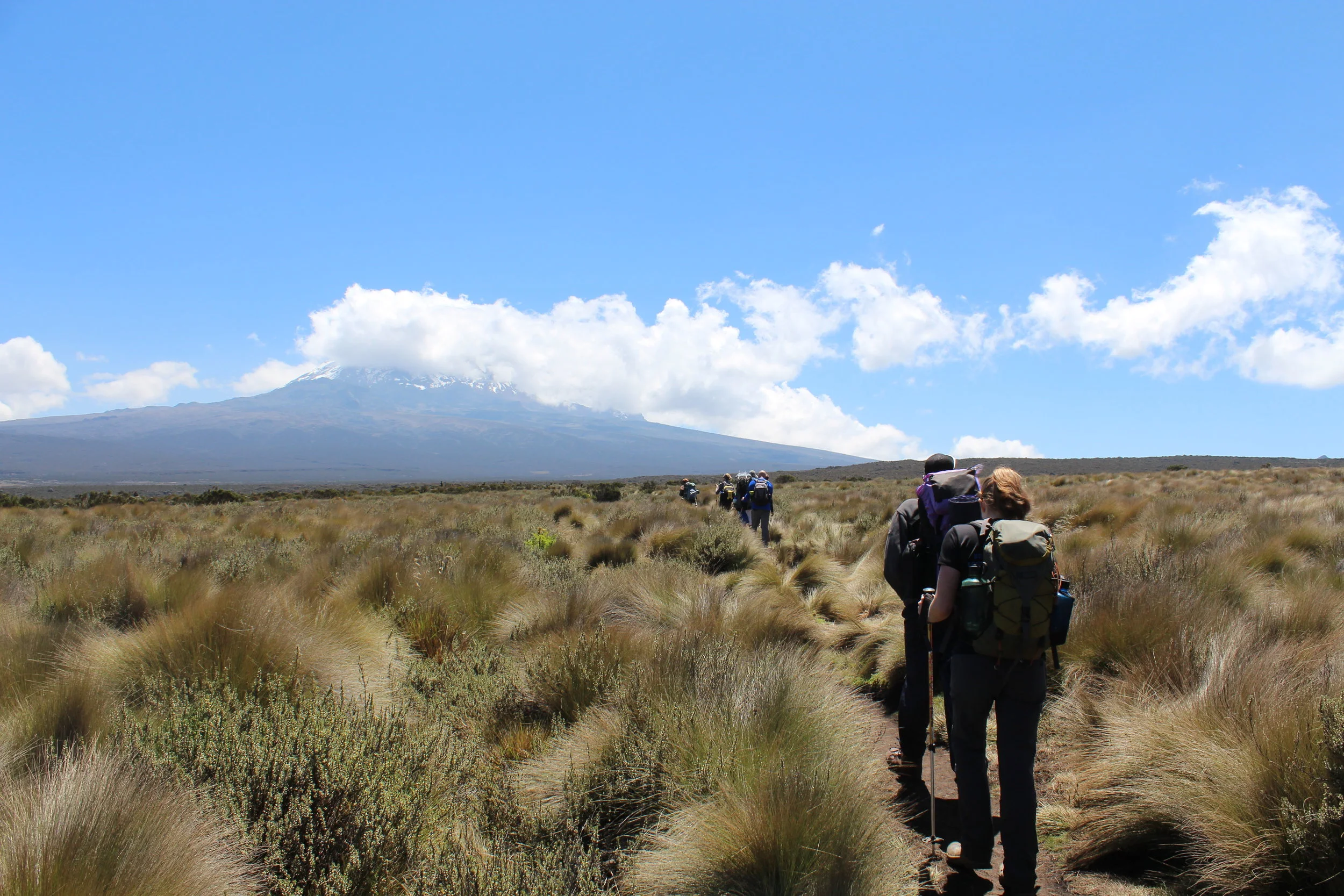 Mount Kilimanjaro Day 2 - Big Tree Camp to Shira Camp 2