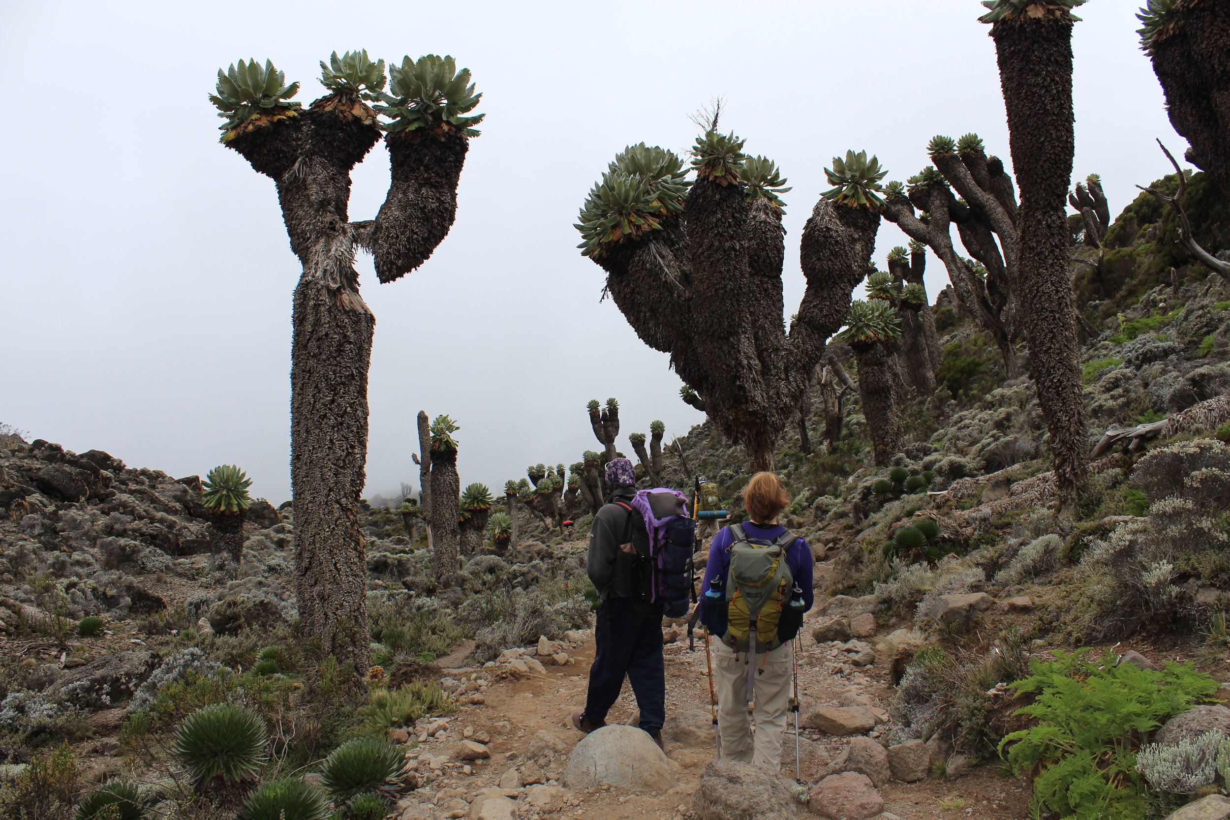 Making our way down to Barranco Camp
