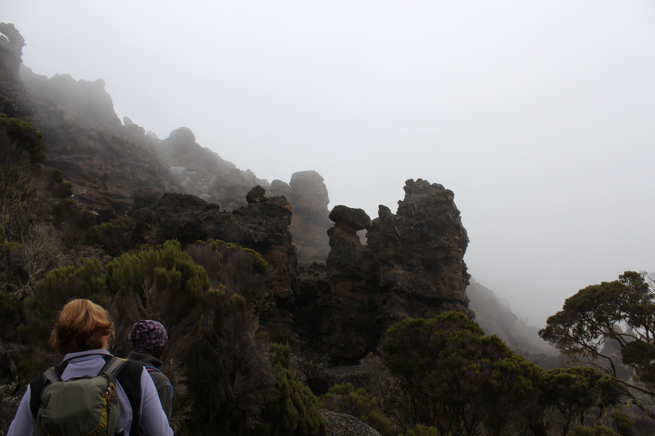 On the Lemosho Route on our way to Karanga Valley Camp