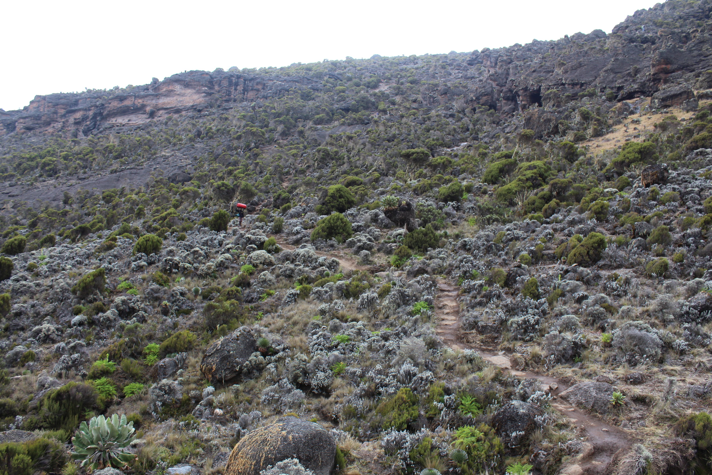 Last uphill stretch before Karanga Valley Camp