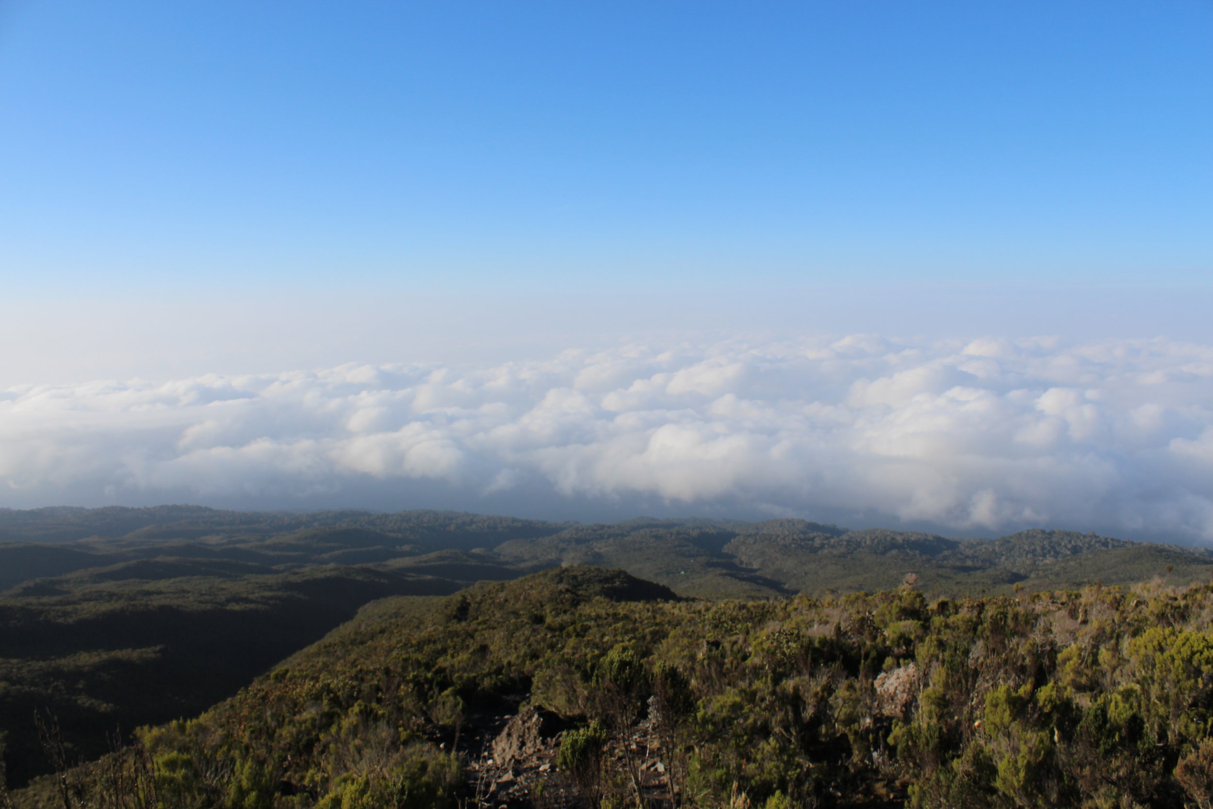 View from Millenium Camp