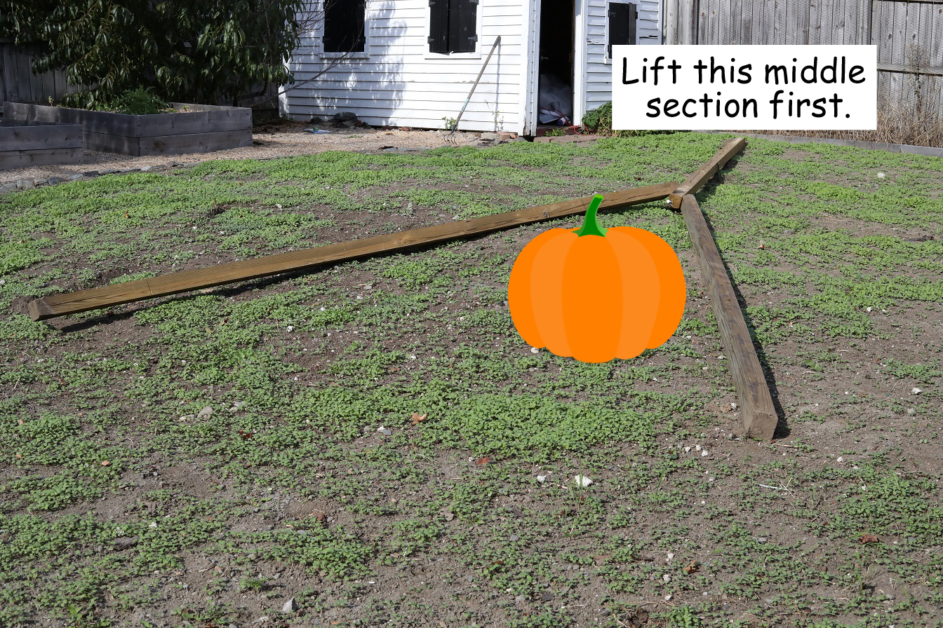 I made this diagram to show the proper placement of the tripod in relation to the pumpkin.