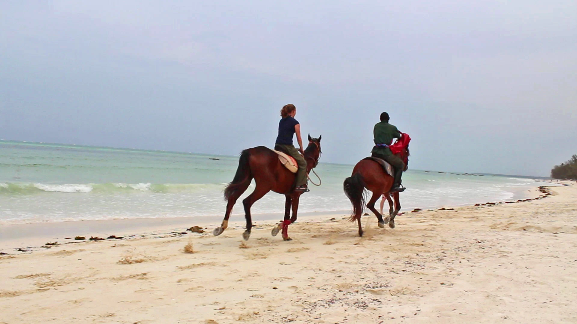 Horseback riding on the beach in Kiwengwa, Zanzibar