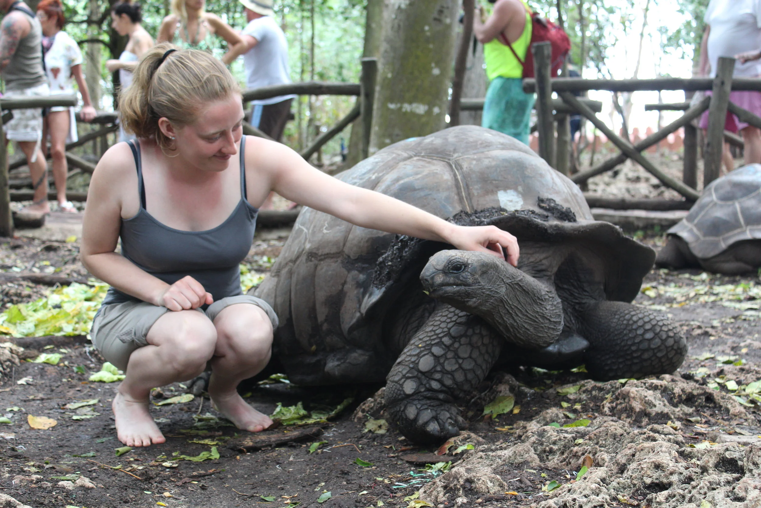 Tanzania Day 22 - Prison Island and Big Tortoises!