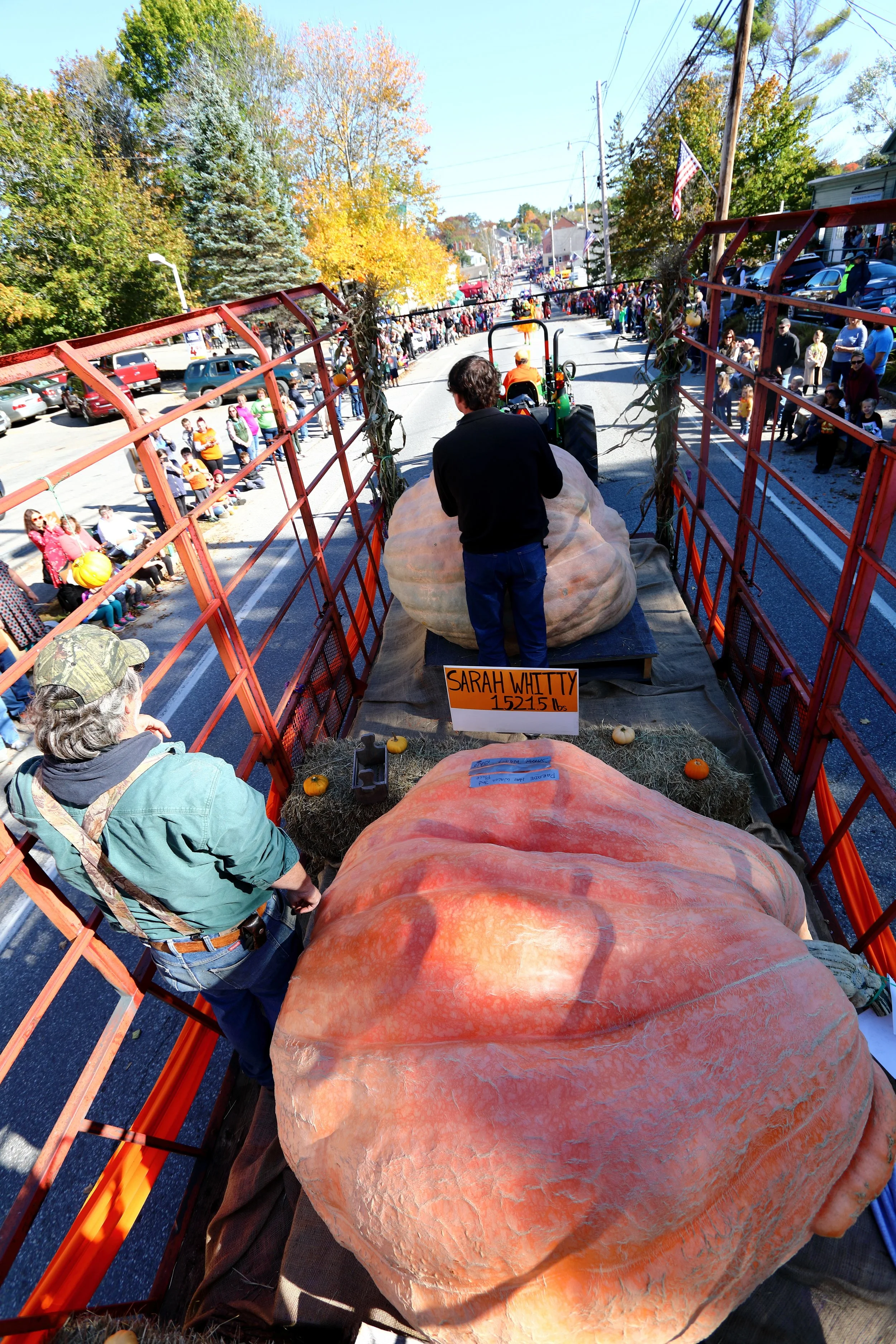 Riding in the Damariscotta Pumpkinfest parade!