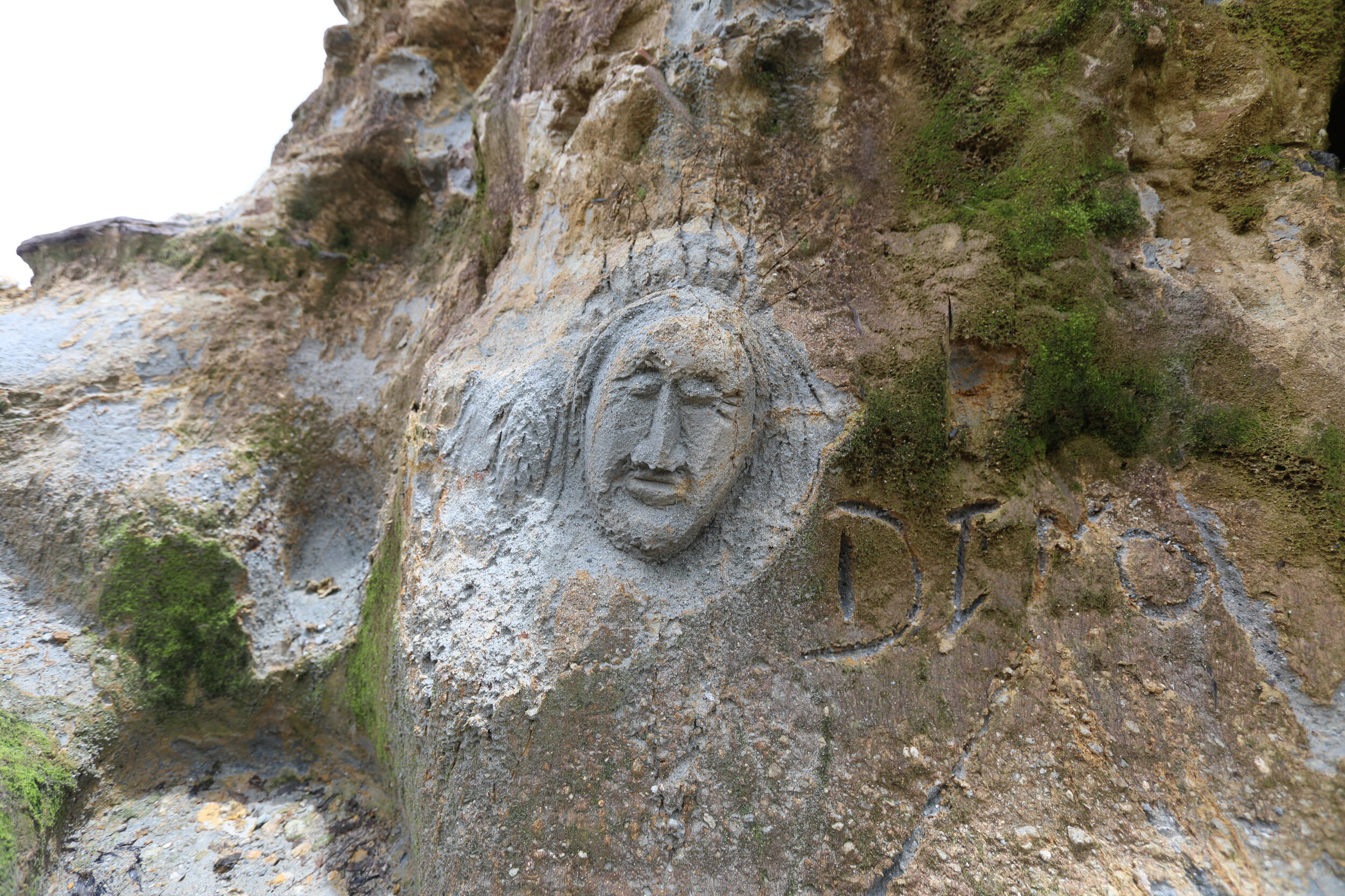  Mud face at the top of Boiling Lake. 