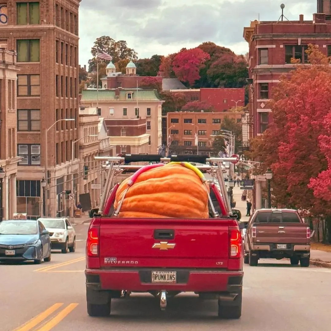 Downtown+Pumpkin.jpg