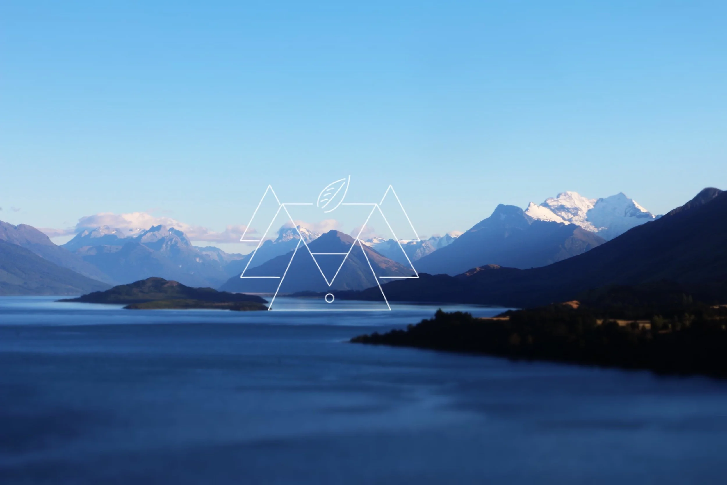 logo NO WRITING  with image.jpg