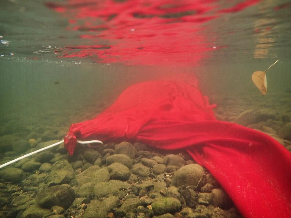 submerged red silk .jpg