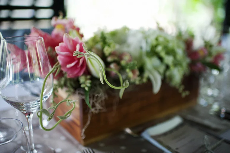 Costa Rica Wedding Planner