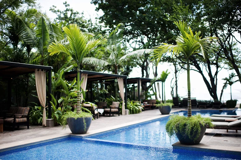 Costa Rica Wedding Planner