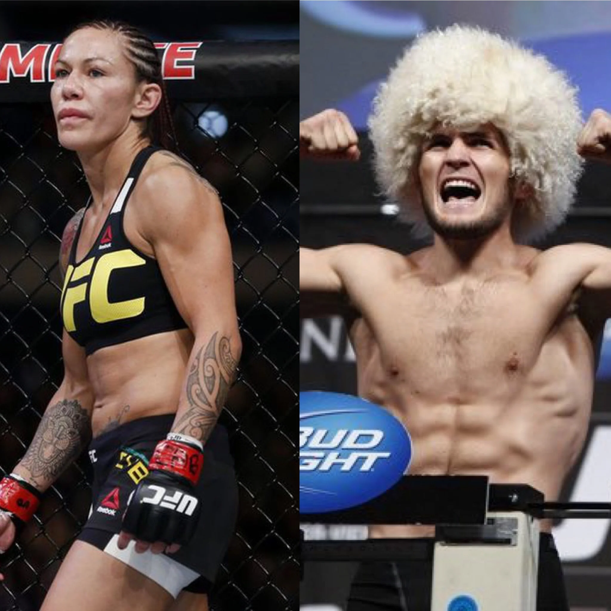 FIGHT CLUB TRANSMISSION 1.3.2018 - REFLECTIONS ON UFC 219