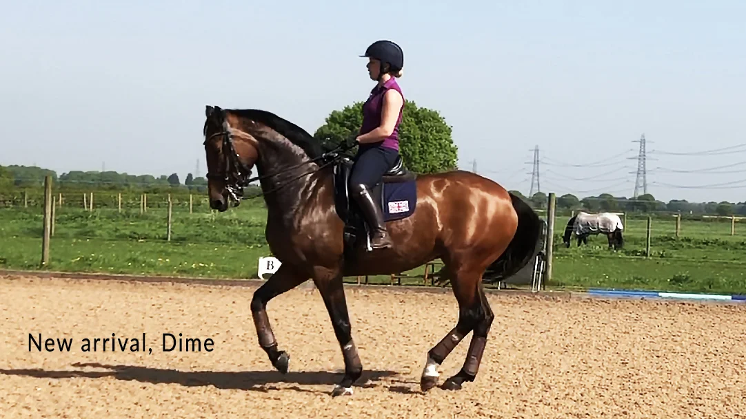 New arrival, Dime